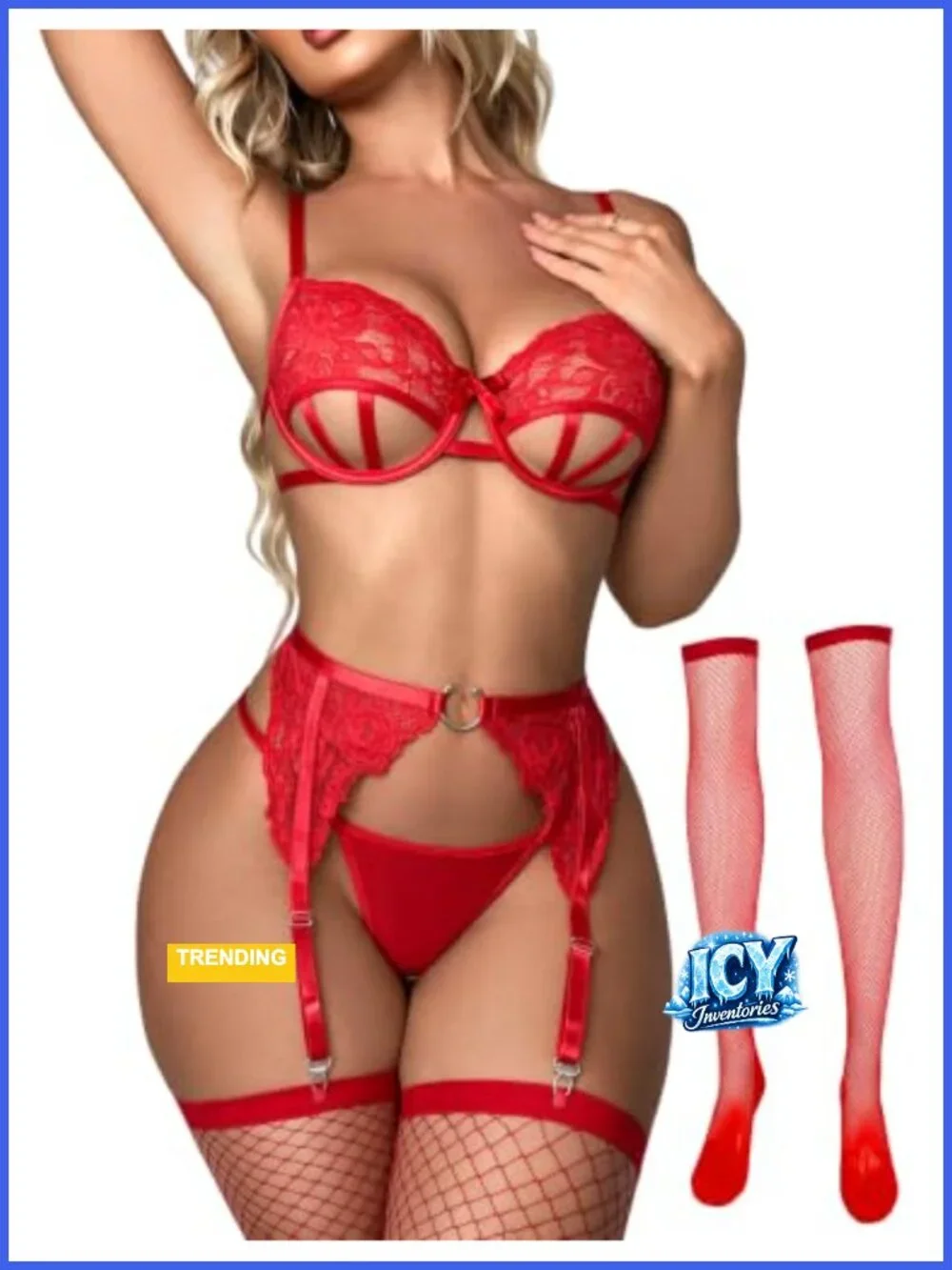 Sexy Underwire Lace Lingerie Set for Women 4 Piece with Garter and Fishnet
